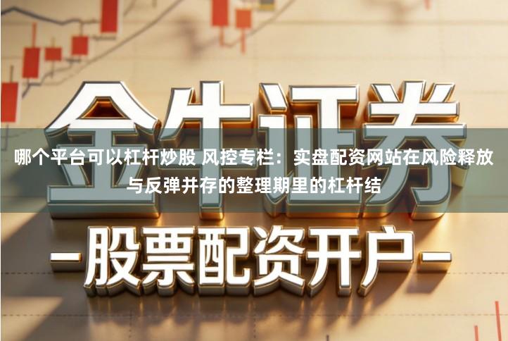 哪个平台可以杠杆炒股 风控专栏：实盘配资网站在风险释放与反弹并存的整理期里的杠杆结