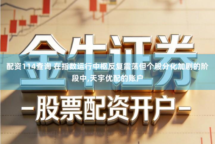 配资114查询 在指数运行中枢反复震荡但个股分化加剧的阶段中,天宇优配的账户