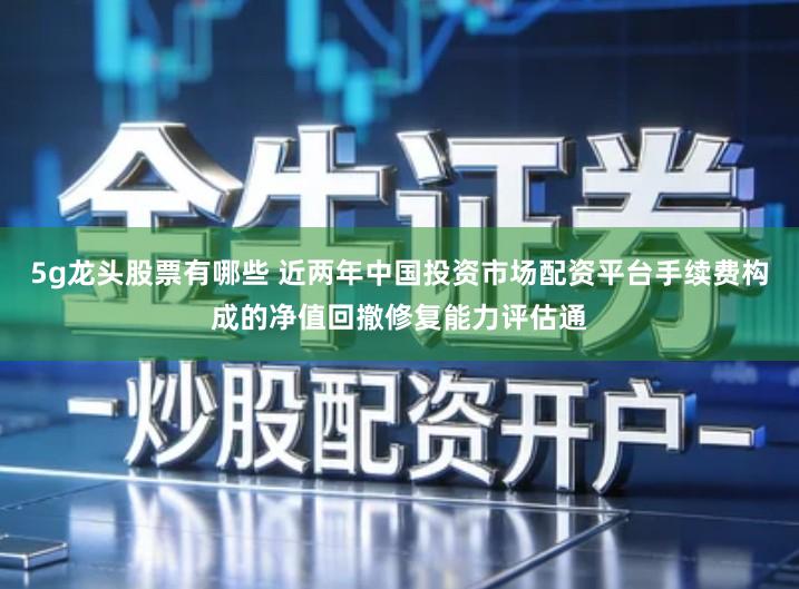 5g龙头股票有哪些 近两年中国投资市场配资平台手续费构成的净值回撤修复能力评估通